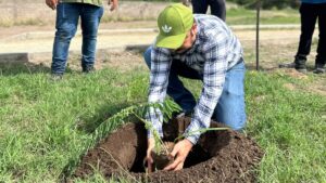 reforestan unidad deportiva de leon fonseca guasave lugar