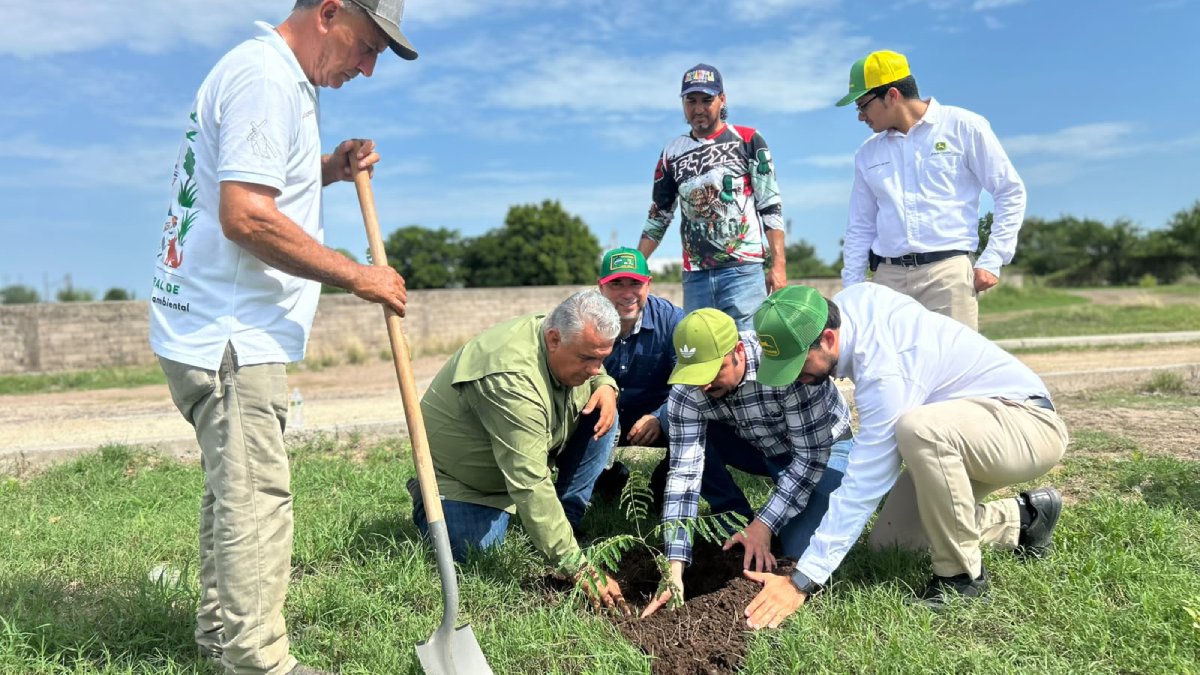 reforestan unidad deportiva de leon fonseca guasave sin