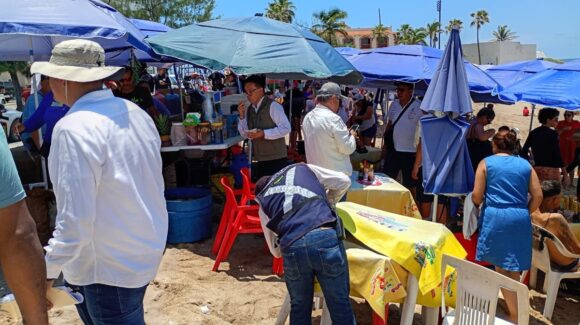 Semarnat dejará de autorizar nuevas palapas en playas de Mazatlán, Sinaloa: buscan ordenamiento