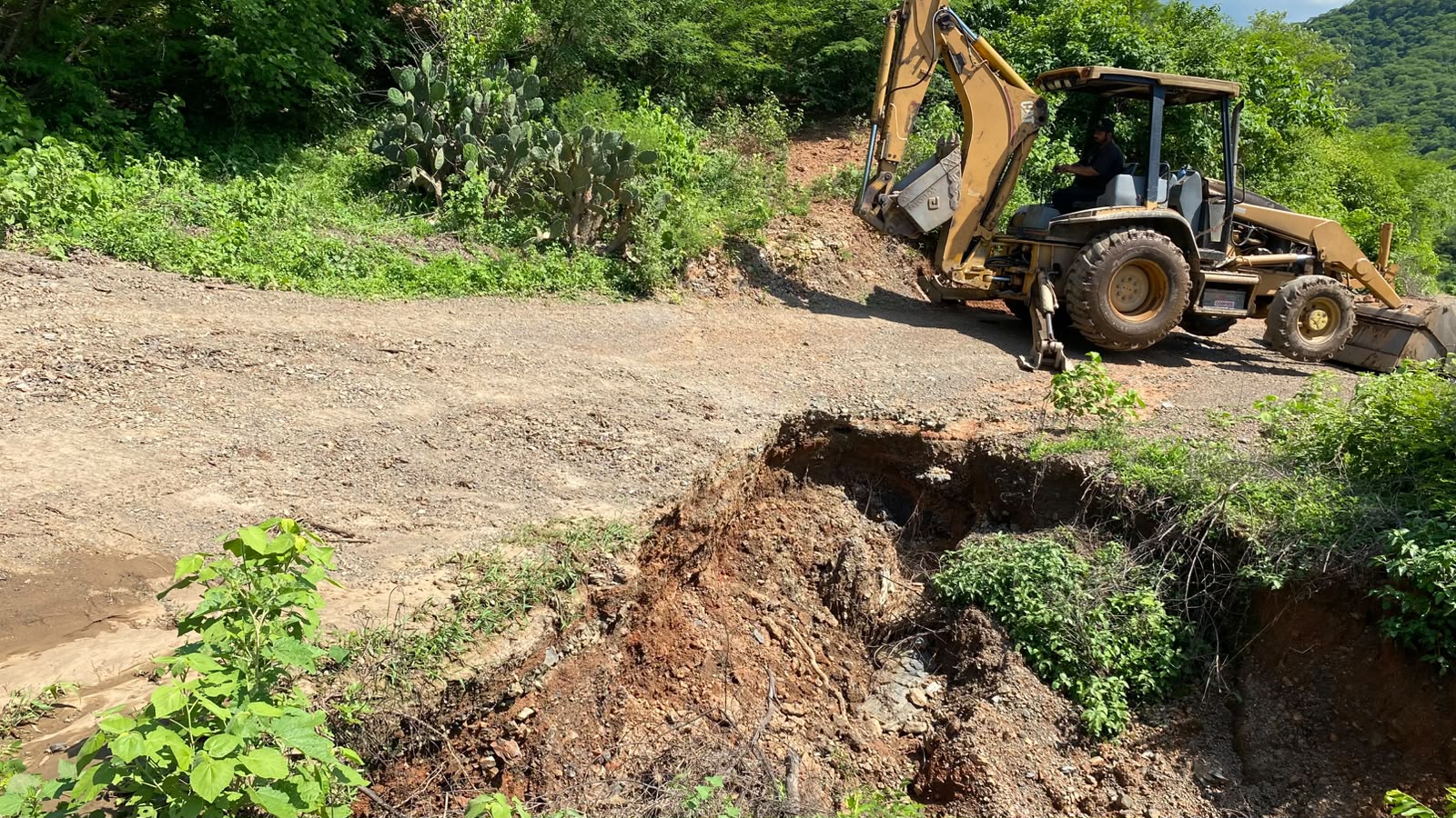 Rehabilitan caminos para reconectar el servicio de luz en Choix tras las lluvias