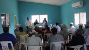 se activan ayuntamiento y el cefpp sinaloa ante caso detectado de gusano barrenador en rosario