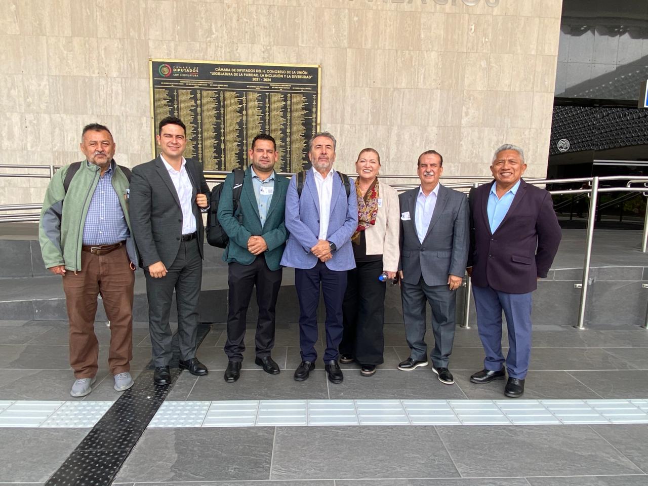 Suntuas en la Cámara de Diputados