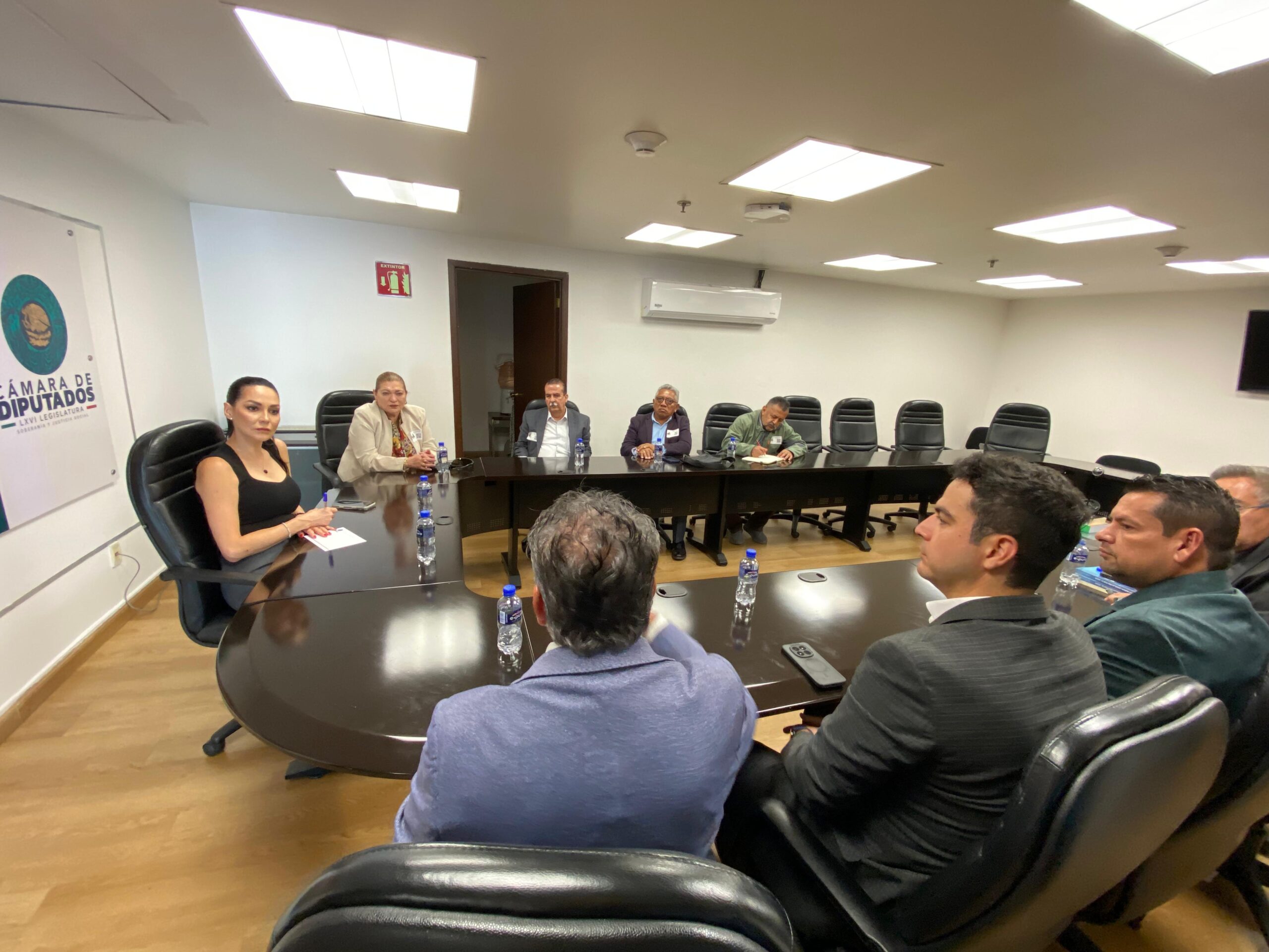 Suntuas en la Cámara de Diputados