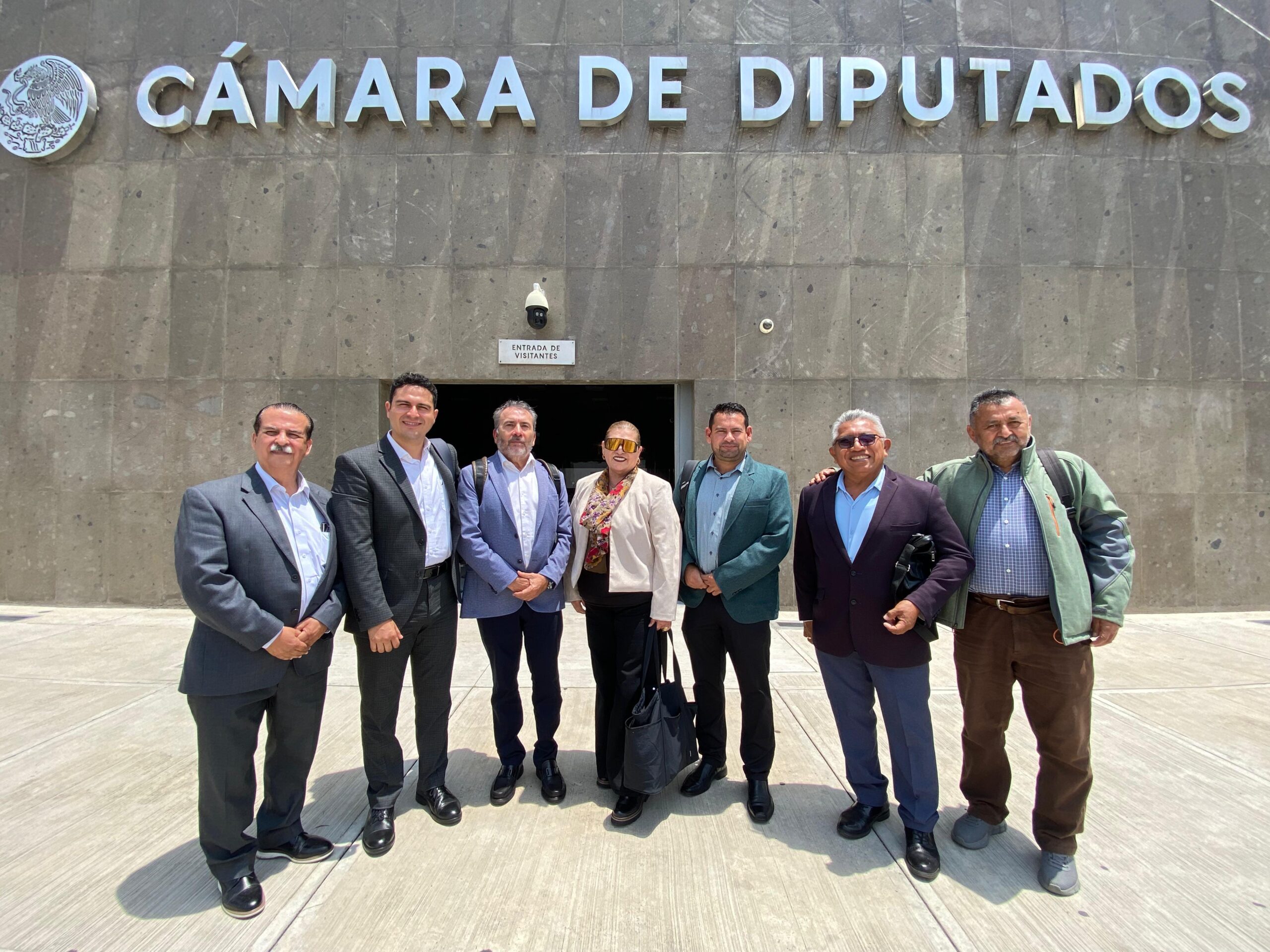 Suntuas en la Cámara de Diputados