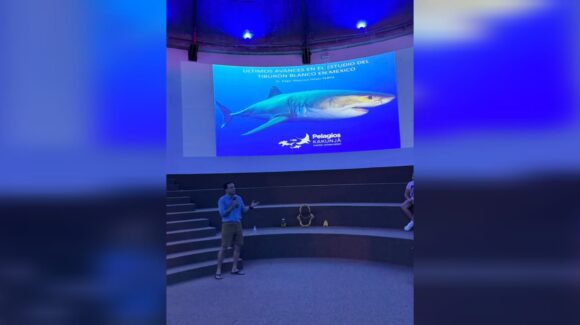 Un tiburón le mordió la cabeza y hoy vive para contarlo; Gran Acuario Mazatlán recibe a Mauricio Hoyos y Édgar Becerril