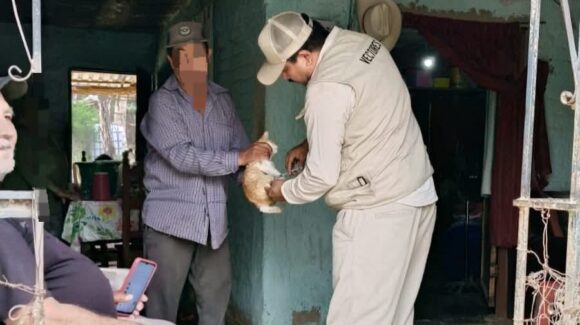 Sin casos de rabia en la región del Évora, Sinaloa; Jurisdicción Sanitaria 03 reporta avance del 88% en vacunación antirrábica