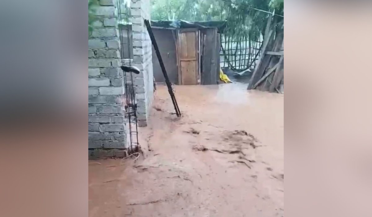 Vivienda de Chilillos, en El Rosario, se inunda tras lluvias en Sinaloa