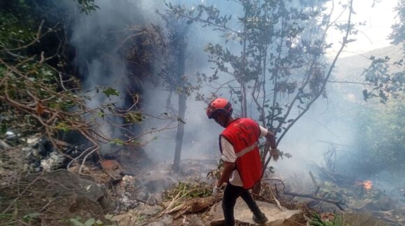 Accidente de helicóptero en Kenia deja siete muertos; entre las víctimas están jefe de Inteligencia de Ecuador y ejecutivo de Telemundo
