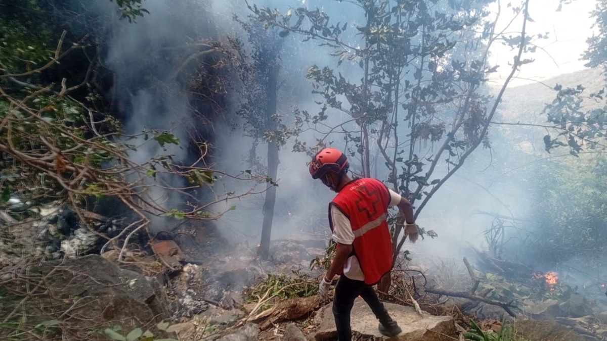 Accidente aéreo en Kenia deja muertos a Director de Inteligencia de Ecuador