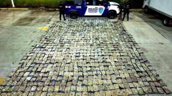 Aseguran más de media tonelada de mariguana en empresa de paquetería en León
