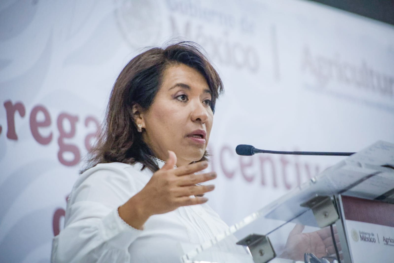 Columba López, titular de Sader, entrega apoyos en Sinaloa