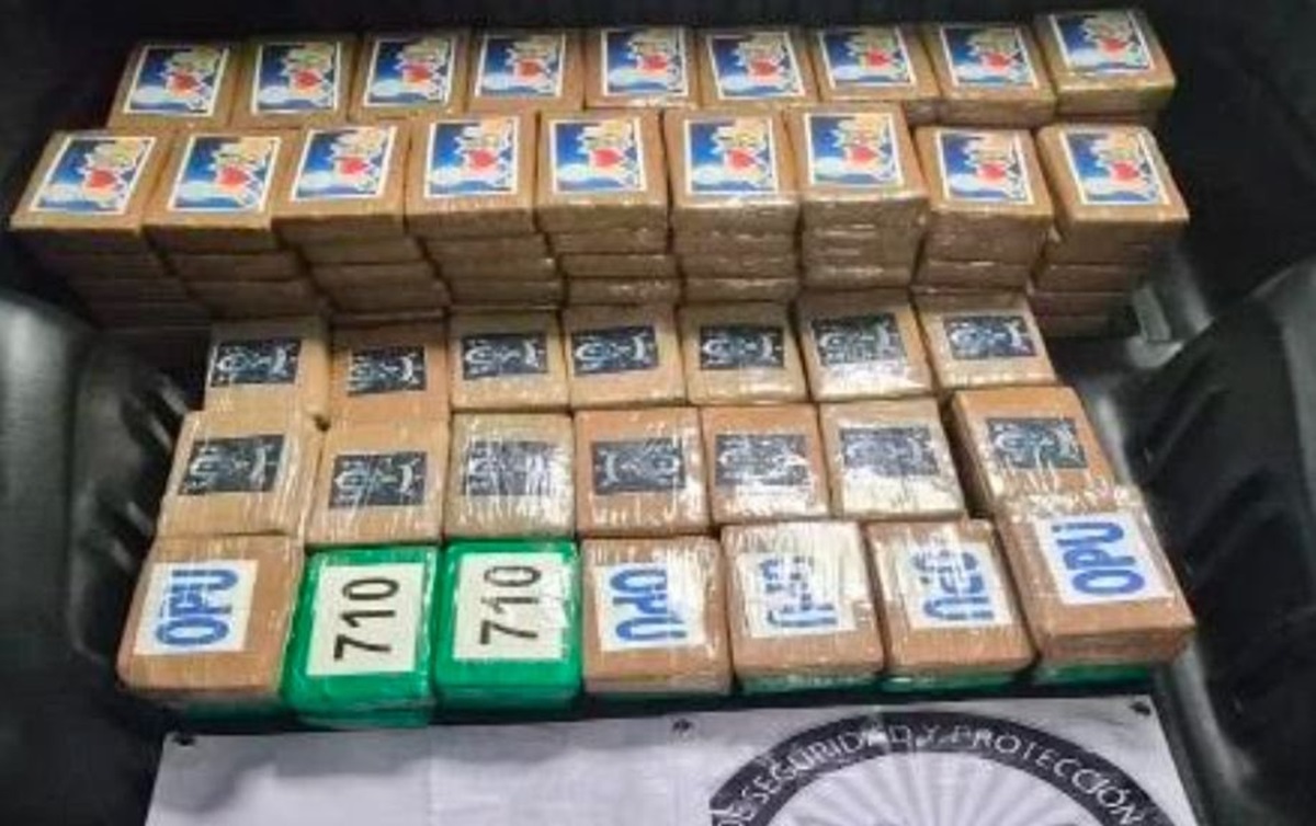 Decomisan 217 kg de cocaína en Tlalpan, CDMX