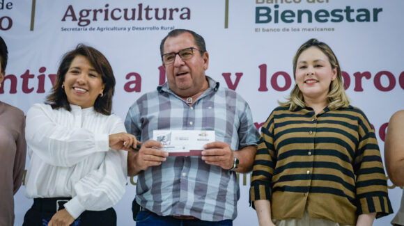 “El 100% del maíz de Sinaloa está vendido”; Sader inicia entrega de incentivos a productores del ciclo otoño-invierno 2025-2026