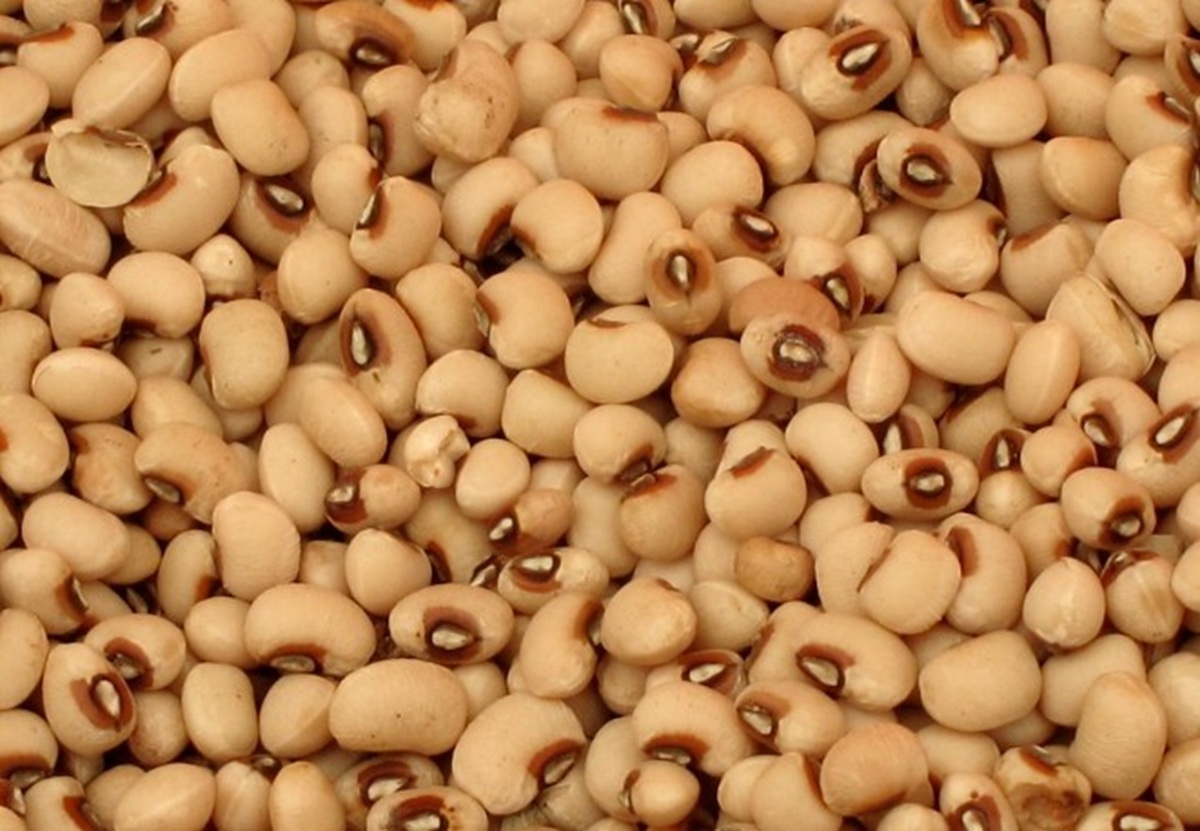 Frijol Yurimuni