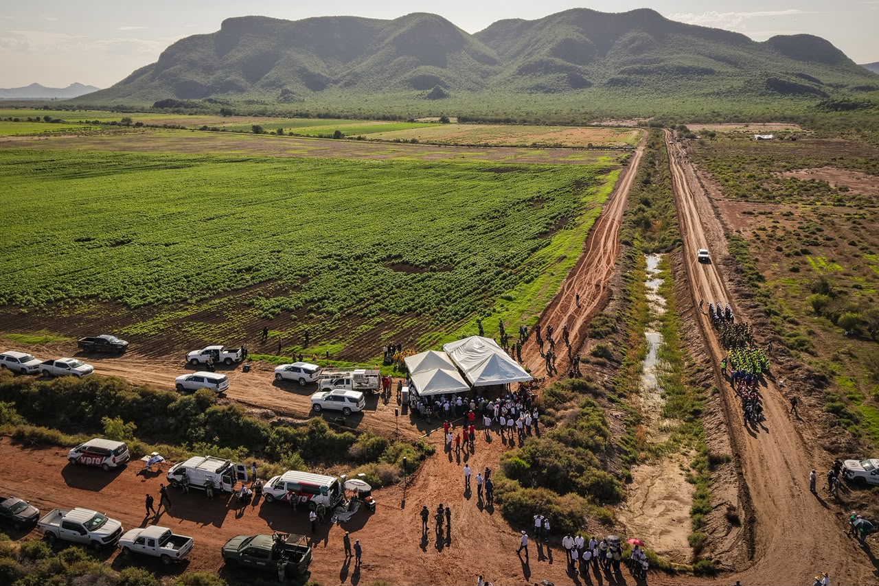 Gobernadora encabeza la Jornada Nacional de Reforestación en Sinaloa