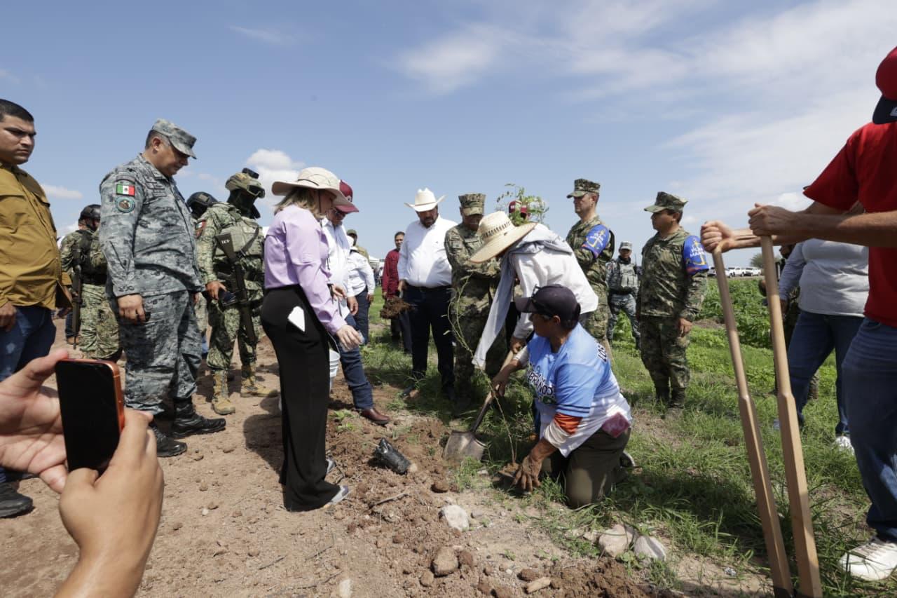 Gobernadora encabeza la Jornada Nacional de Reforestación en Sinaloa