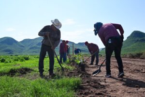 Jornada Nacional de Reforestación