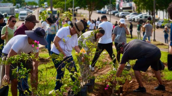 Se suma Mazatlán a Jornada Nacional de Reforestación; plantan árboles en la avenida Colosio