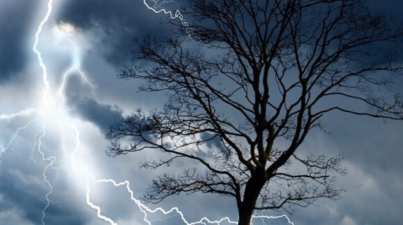 ¿Llueve y hay rayos? Esta es la razón por la que debes alejarte de los árboles