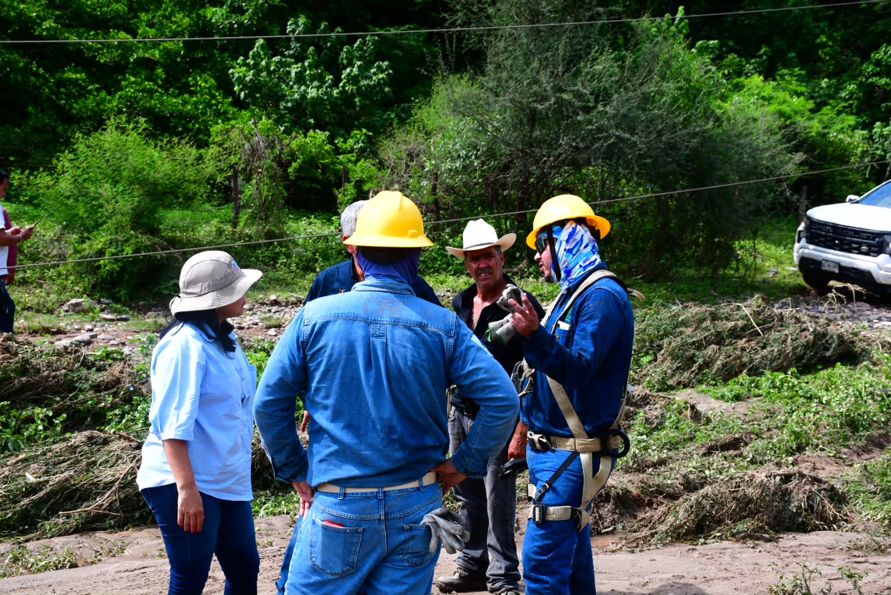 Restablecido casi al 100 por ciento el servicio de energía eléctrica en la sierra de Choix tras lluvias