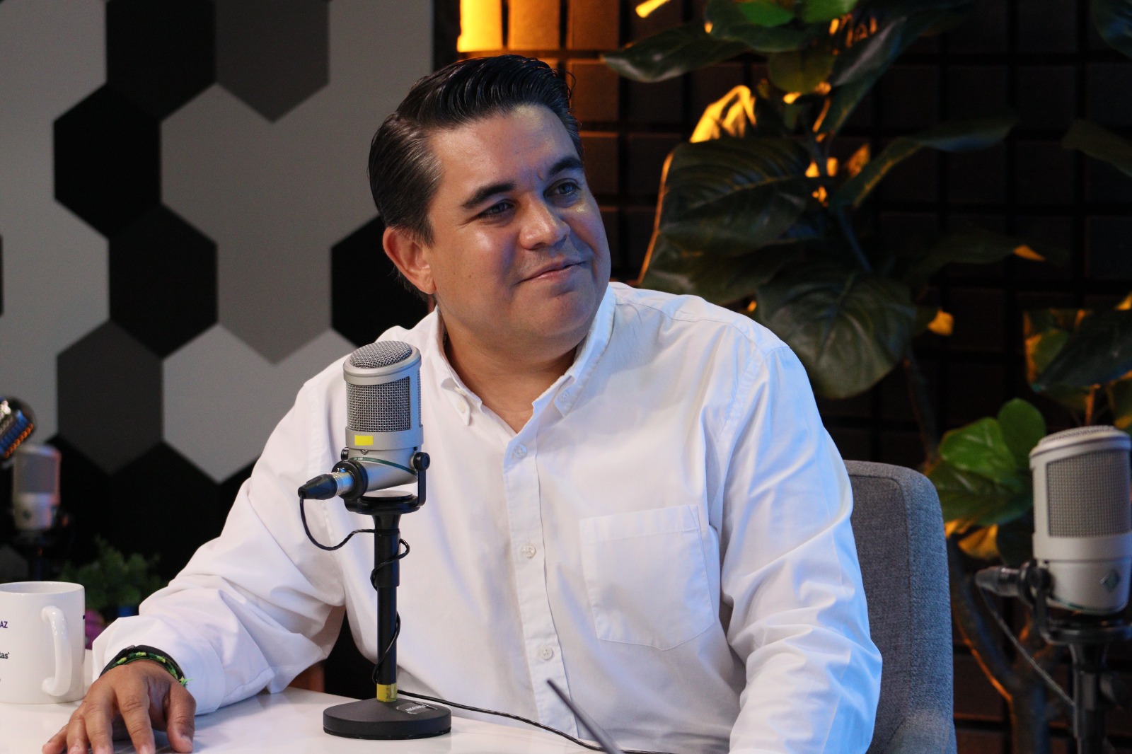 Ricardo Madrid sobre los espacios asegurados del Partido Verde y PT en proceso interno en Sinaloa