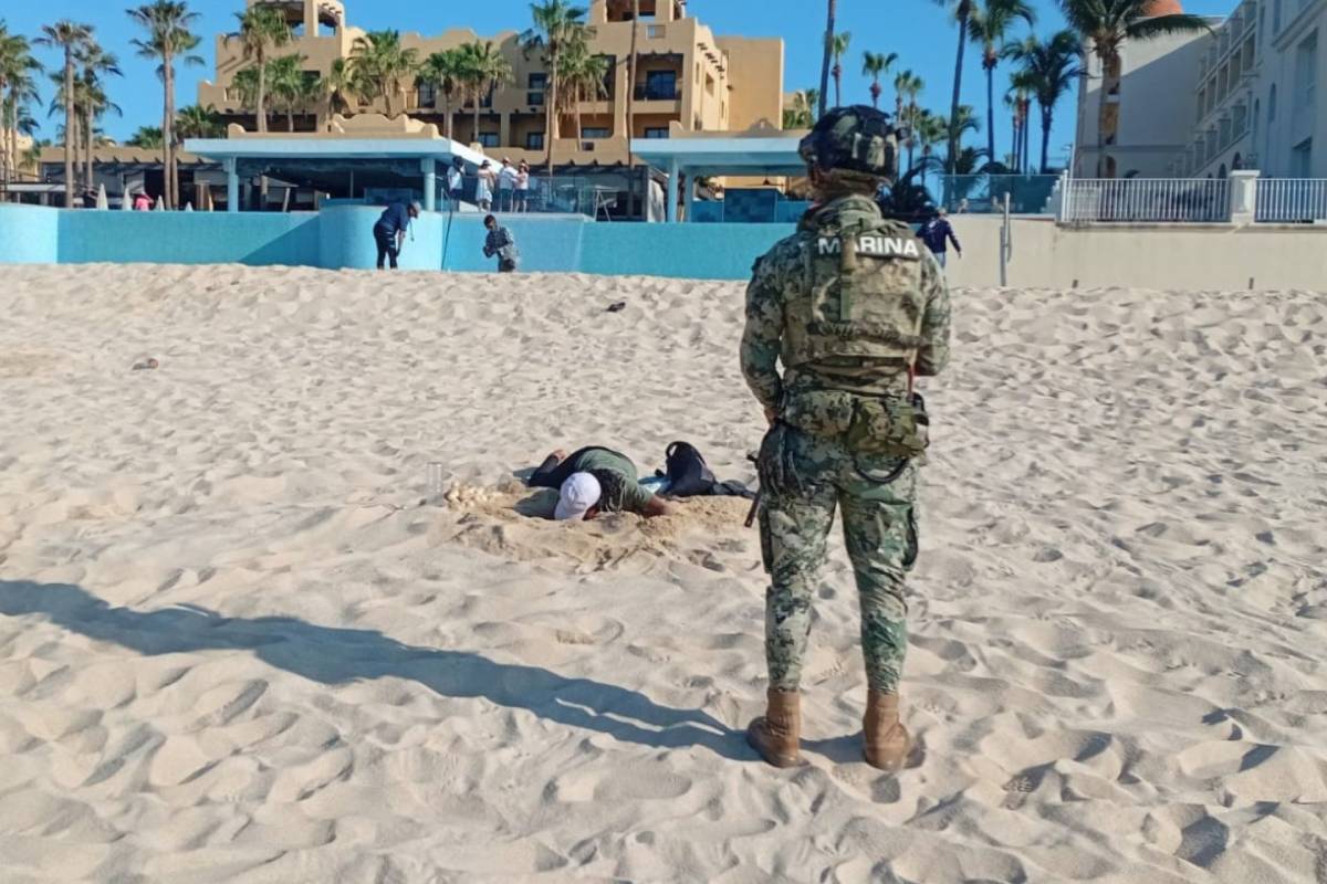 Semar y Profepa salvan 10 mil huevos de tortuga golfina en Cabo San Lucas, BCS