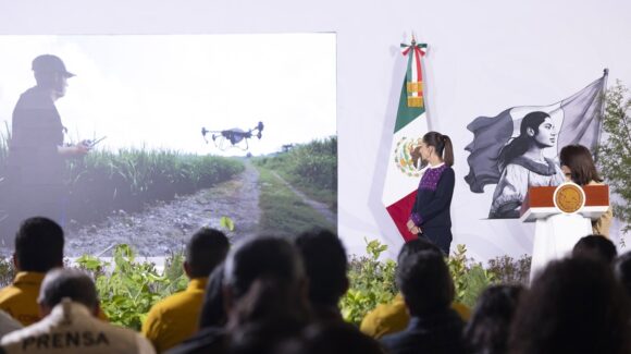 Sheinbaum anuncia la mayor Jornada Nacional de Reforestación; sembrarán 6.6 millones de árboles