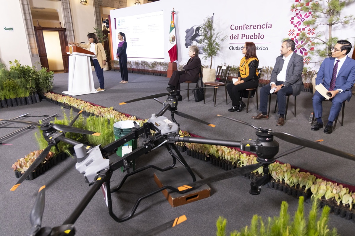Sheinbaum anuncia programa de reforestación 2