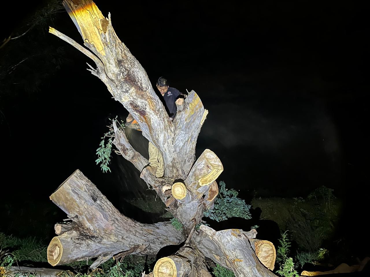 Tormenta de rápida formación deja daños en comunidades de Guasave
