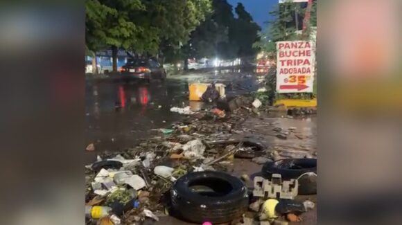 Lluvias del lunes dejan 4 toneladas de basura y 17 árboles caídos en Culiacán: Parques y Jardines