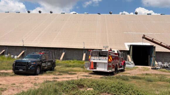 Trabajador queda atrapado en silo tras caerle una gran cantidad de maíz, en Angostura