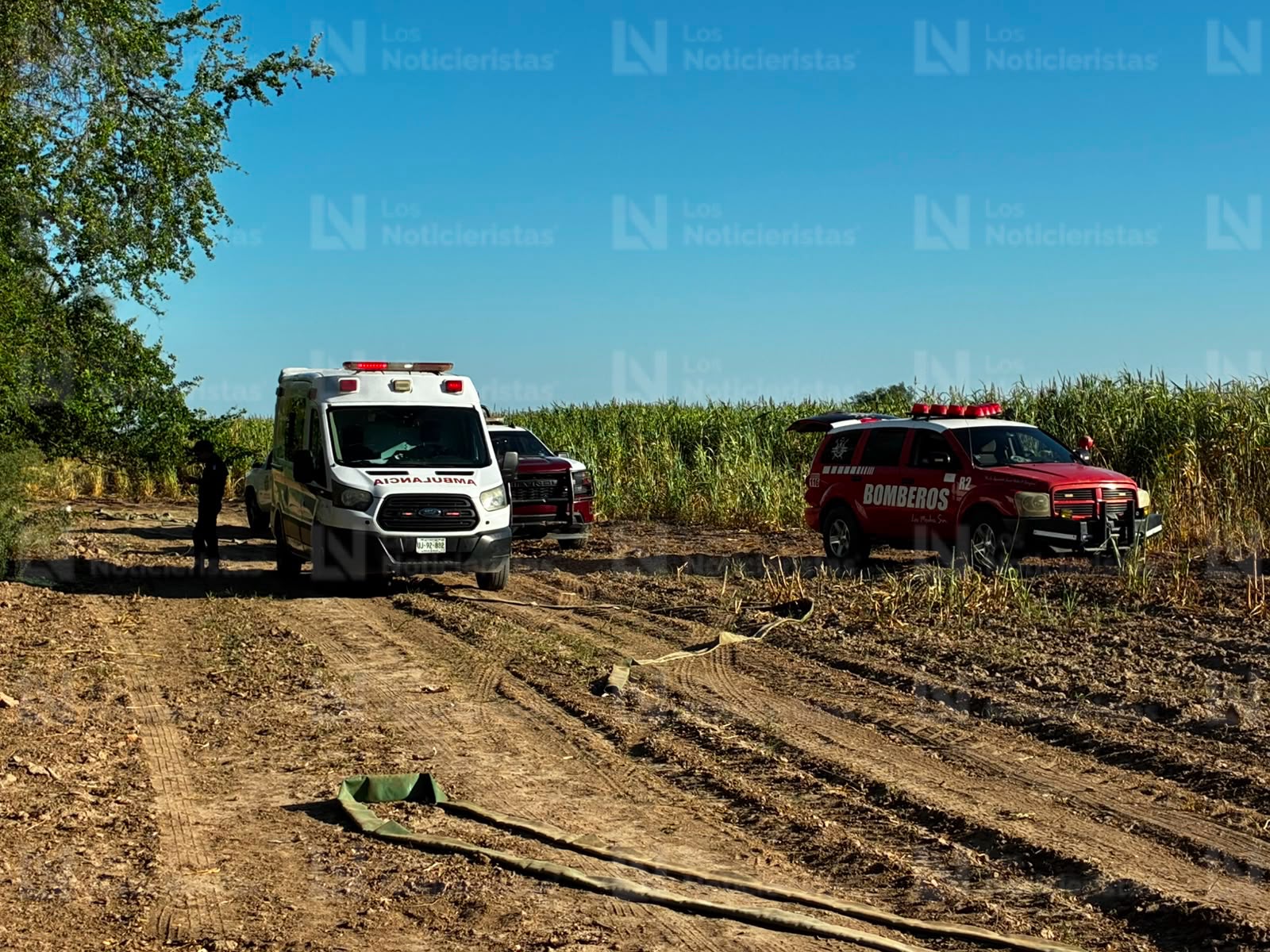 Adulto mayor pierde la vida tras ser succionado por una trilladora en el ejido Agua Nueva, en Ahome