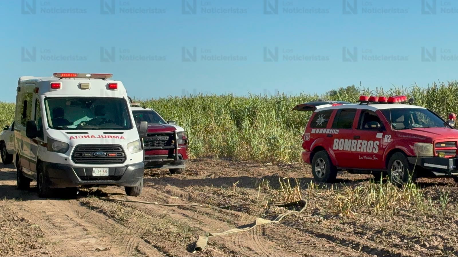 Adulto mayor pierde la vida tras ser succionado por una trilladora en el ejido Agua Nueva, en Ahome