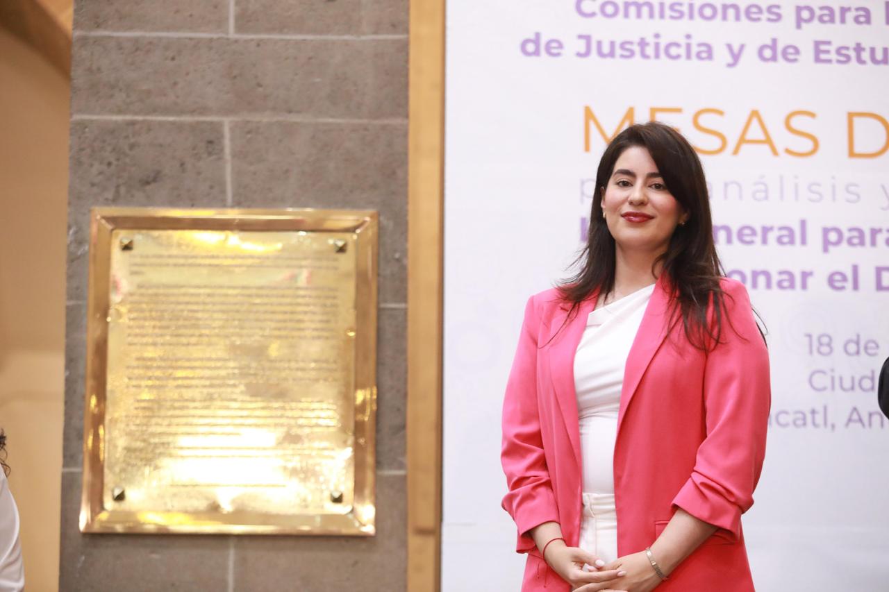 Ana Francis Chiquete en mesas de diálogo del Senado de la República