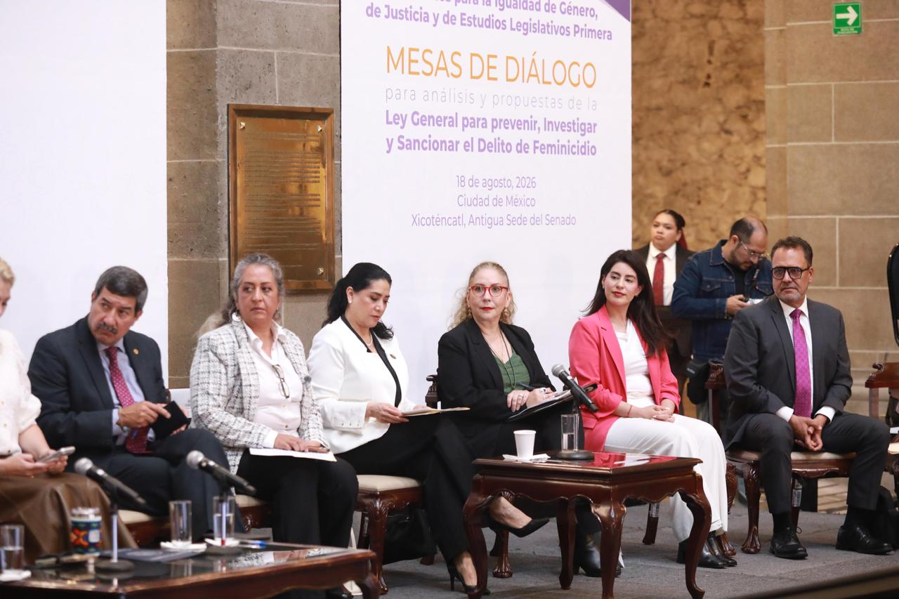 Ana Francis Chiquete en mesas de diálogo del Senado de la República