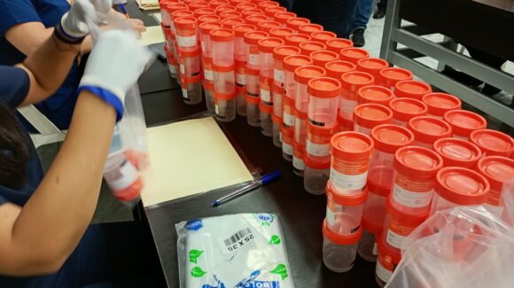 Detectan indicios de consumo de drogas en choferes del Ayuntamiento de Guasave; podrían ser despedidos