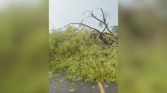 ¡Ahora sin luz y sin señal! En Siqueros y El Bajío de Mazatlán, Sinaloa, se quedan sin servicio y se mantiene bloqueo carretero