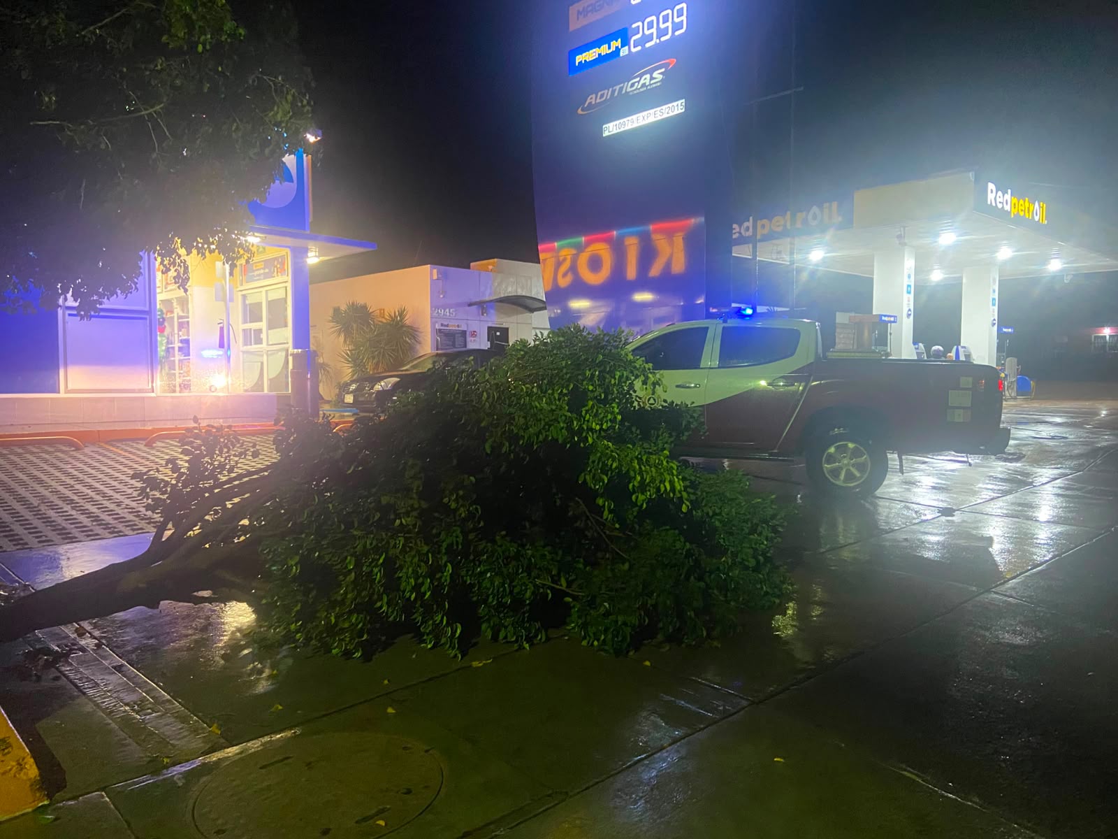 Árbol caído por lluvias en Culiacán