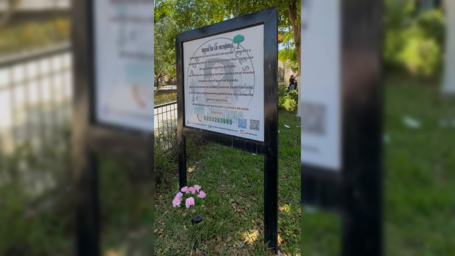 Árbol de la Memoria a desaparecidos en Mazatlán
