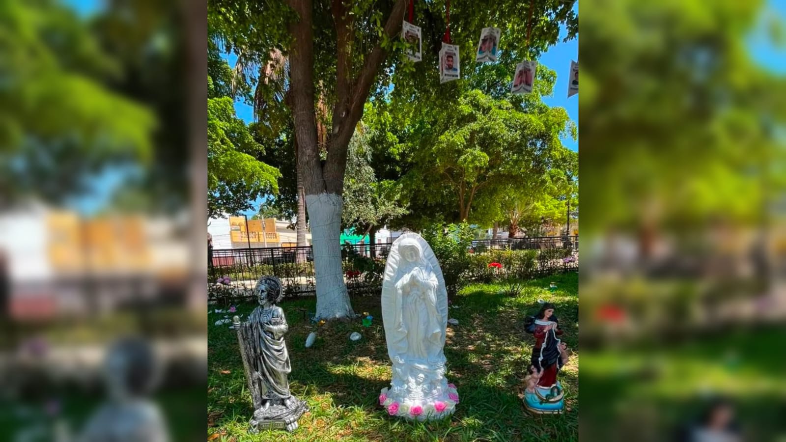 Árbol de la Memoria a desaparecidos en Mazatlán
