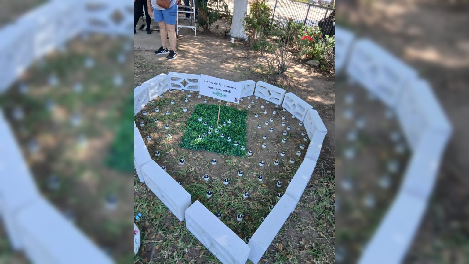 Árbol de la Memoria a desaparecidos en Mazatlán