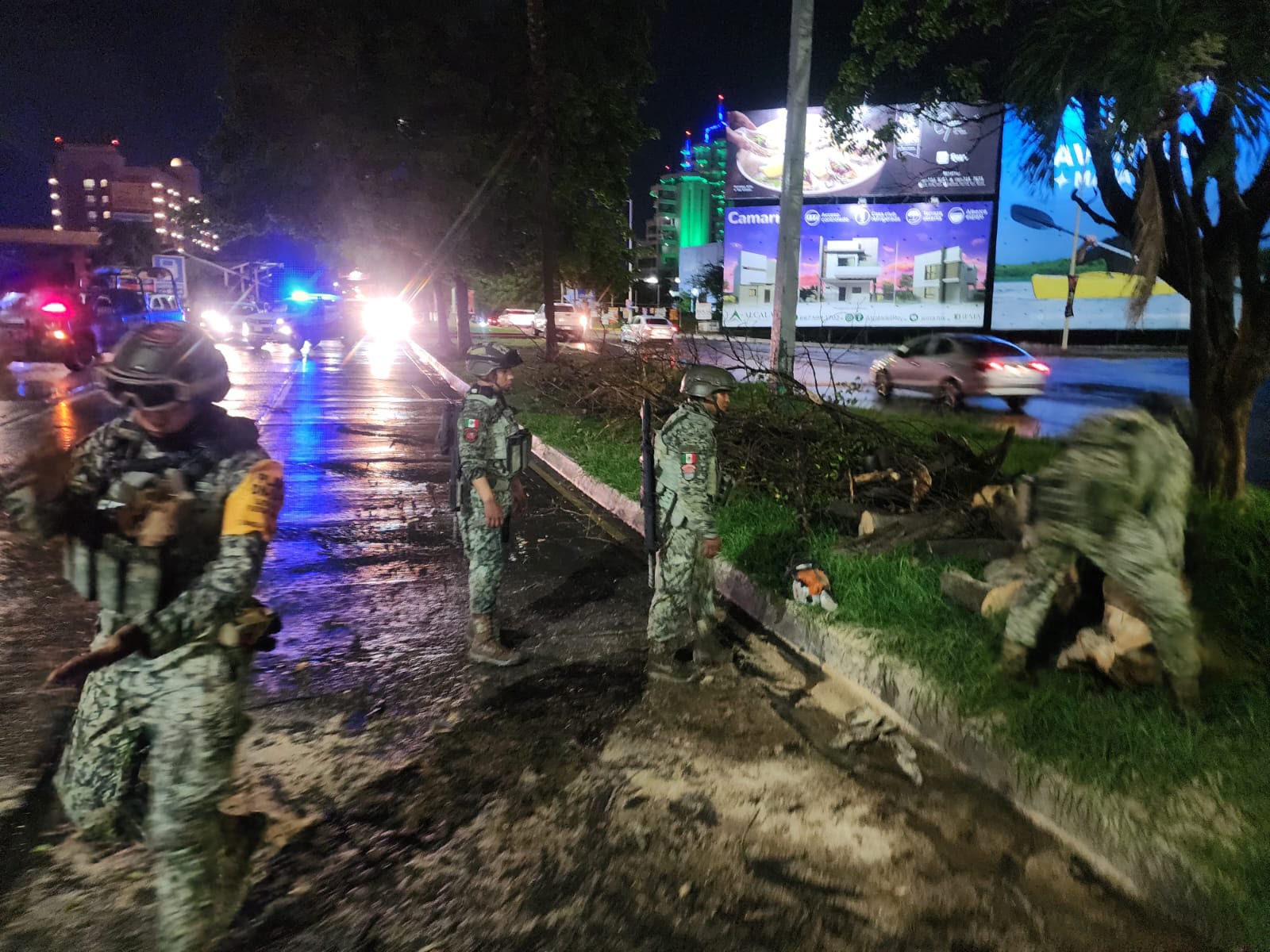 Árboles caídos tras la lluvia en Culiacán