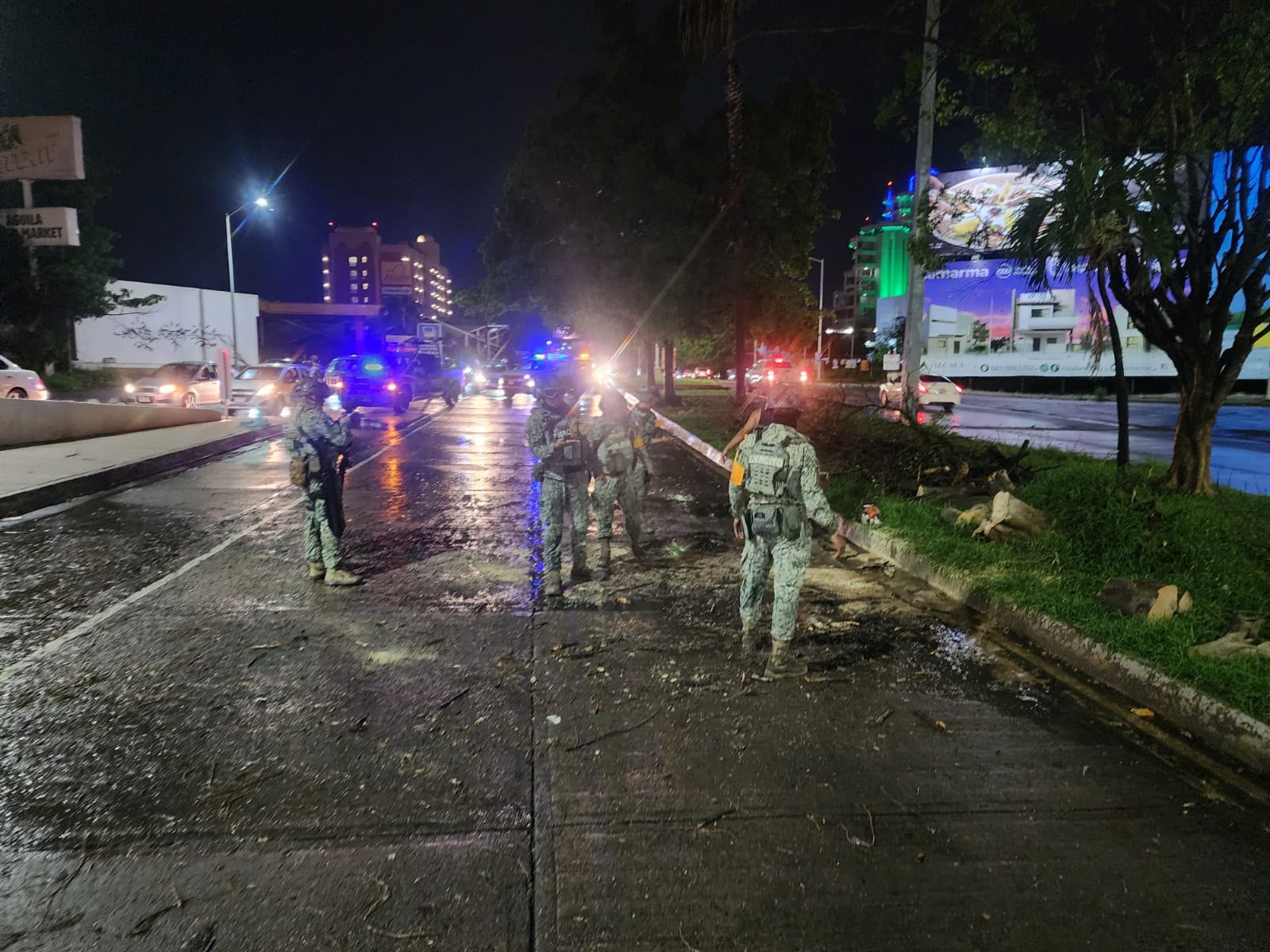 Árboles caídos tras la lluvia en Culiacán