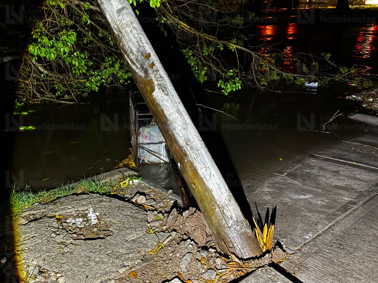 Árboles caídos tras lluvia en Los Mochis