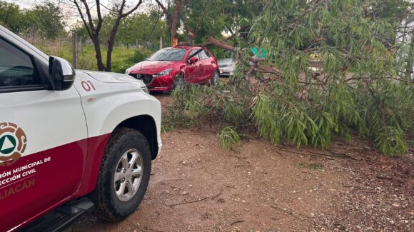 Lluvias y vientos dejan árboles y postes caídos en varios sectores de Culiacán, Sinaloa