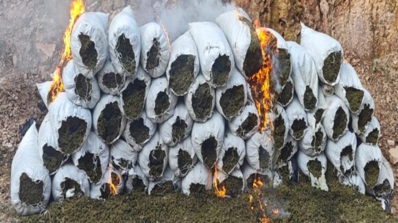 Asegura el Ejército Mexicano cargamento de 3.9 mdp en marihuana en El Rosario, Sinaloa