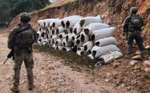 Asegura el Ejército Mexicano cargamento de 3.9 mdp en marihuana en El Rosario