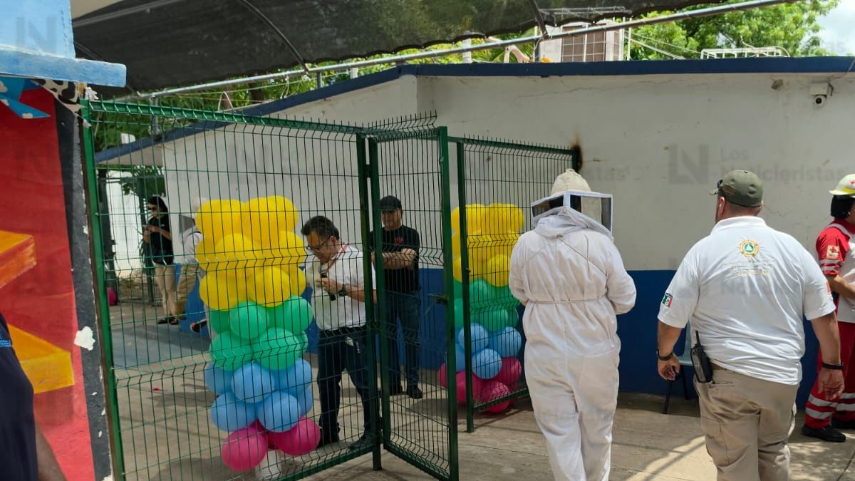 ataque de abejas a alumnos de primaria en culiacan cruz roja