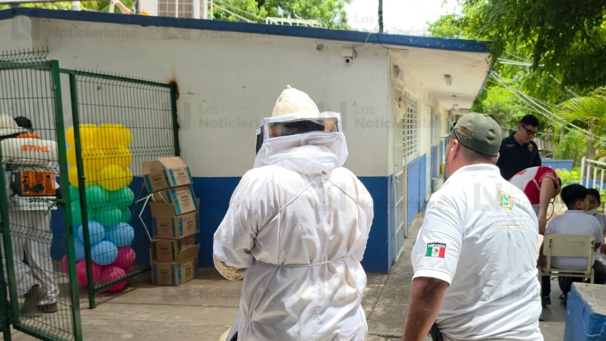 ataque de abejas a alumnos de primaria en culiacan