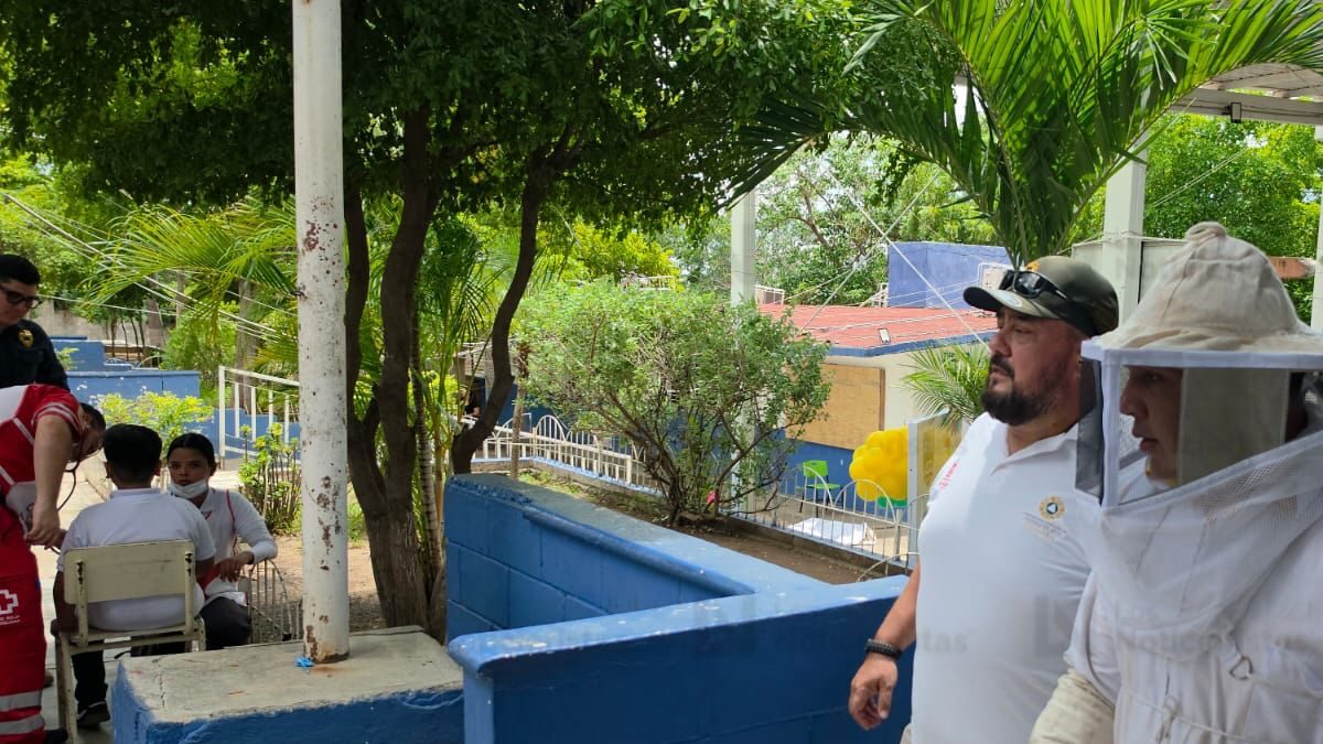 ataque de abejas a alumnos de primaria en culiacan elementos